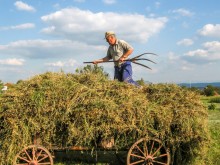 Малките фермери май няма да избегнат условността