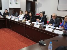 Танева: Показваме на ЕК стратегическия си план в края на 2020 г.