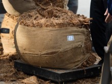 Тютюнопроизводители настояват за спешен консултативен съвет