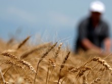 Новата ОСП: Размисли и страсти сред фермерите