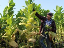 Вергиния Кръстева: На България й е необходима преходна национална помощ