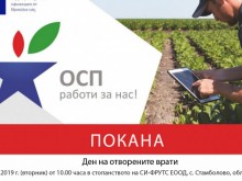 ОСП работи за нас: Беритба на праскови в Русенско