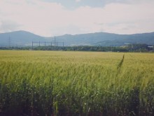 CAP4US: Подкрепа за успеха на младите фермери