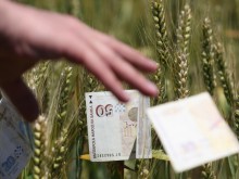 Ще остане ли прага от 2000 евро за преките плащания и след 2020 г.?