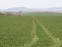 Водеща тема: Нов модел на сертифициране след 2020