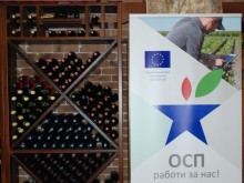 ОСП работи за нас: Помисли първо за пазара