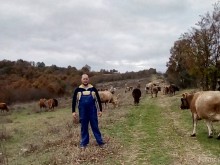 Млад фермер: Има европари, но те не стигат до нас