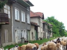 Сметки и прогнози: Разпределението на парите за ОСП