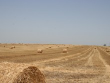 Хоган коментира ключовата реформа в новата ОСП
