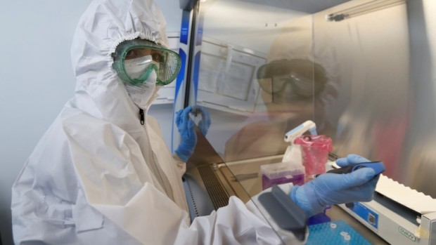 EPA БГНЕС
За последните 24 часа в страната са установени 231 нови носители на коронавирусна