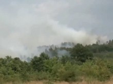 Пожар избухна край язовир "Копринка"