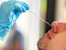 393 нови случая на коронавирус, 1,7% от пробите са положителни