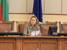 Ива Митева свиква извънредно заседание на НС заради кадрите с полицейско насилие