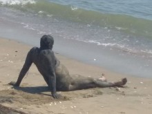 И те са на морето, но предпочитат да се къпят другаде