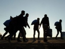 Откриха десетки мигранти в ловно стопанство над Ихтиман