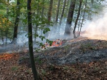 Доброволно формирование "Асеневци" се включва в борбата с пожара над Югово