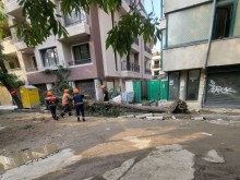 Ремонтите по Водния проект продължават, но паднало дърво създаде проблеми