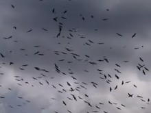 Небето над Несебър почерня! Отива ли си лятото?