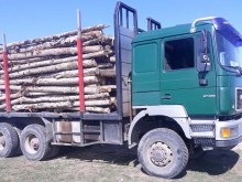 Горски инспектори от РДГ Пловдив задържаха 50 куб.м дървесина