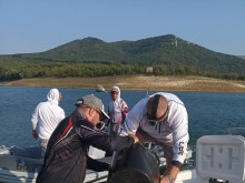 1 000 малки сомчета бяха пуснати във водите на язовир Цонево