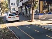 Мрежата разкъса водач на БМВ: Чобанин!