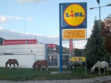 Снимка, направена до магазин на Lidl, озадачи мрежата