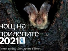 Нощ на прилепите в Пловдив