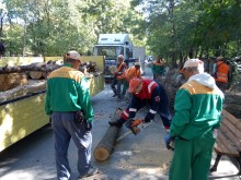 Почистиха парк "Лаута"