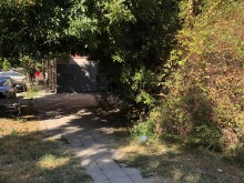 Пловдивчанин: Тази градинка в "Кършияка" е в изключително окаяно състояние