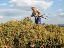Как се връща животът в селските райони