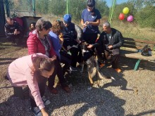 Събитие на общинския приют събра деца и доброволци в Деня за защита на животните