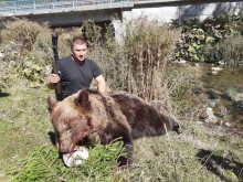 Убиец на мечка се похвали сам в мрежата, като си направи снимка