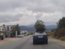 Читателка: Подобно "чудо" скоро не бях виждала по пловдивските улици! Без думи съм!