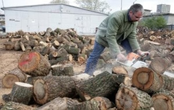 Varna24.bg
Търговците вече правят списъци с чакащи доставка на дърва за огрев