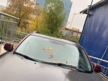 "Софиянци" пресолиха манджата