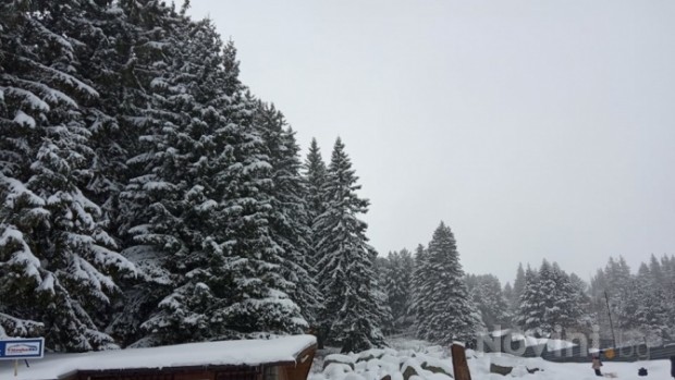 Novini bg
Мокър сняг вали във високите части на София в
