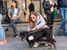 "Гурме с куче и за куче" в Пловдив с участието на Маги Джанаварова