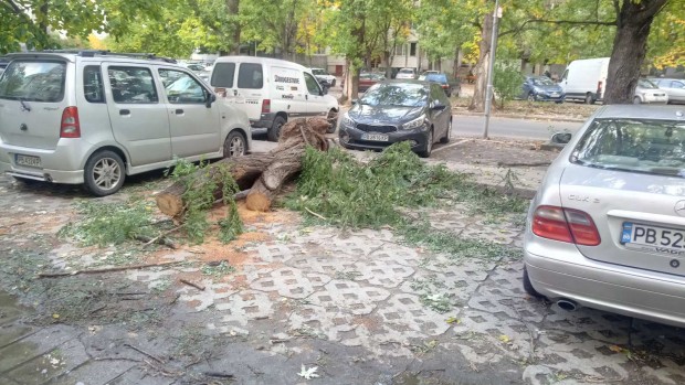 След сигнал на Plovdiv24.bg: ВиК отстрани теч на ул. "Белица"