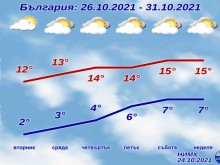 ������ ����� �� ���� ���� �������
