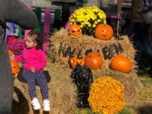 Halloween Week��� ��zar � ����� ���� ������