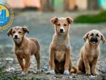 ПФК Марица се включва в кампанията "Доброто продължава"