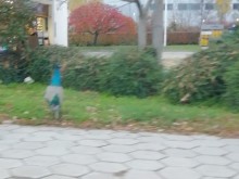���� �� ����� �� �������������� � "������ ������"!