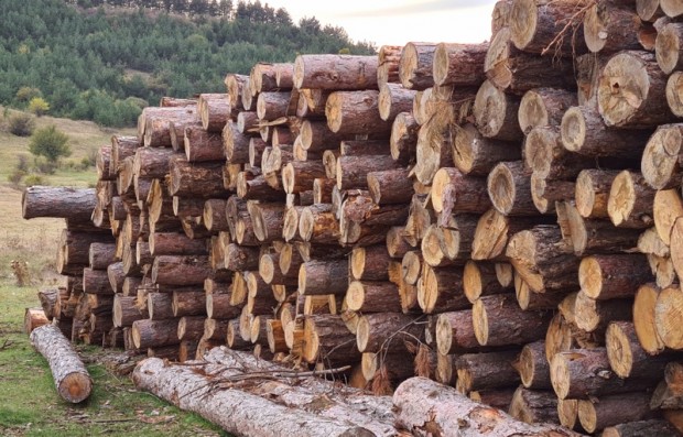 БГНЕС
За нова измамна схема с обяви за дърва за огрев