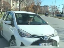 Много заблудена кака от А1 мутрее на пътя, псува и показва среден пръст на колега!