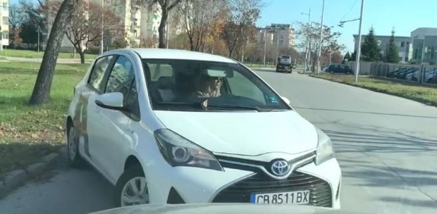 Varna24 bg
Шофьорка на служебен автомобил на А1 брутално гази закона и