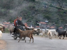 България и още две страни с най-голям спад на агропродукцията