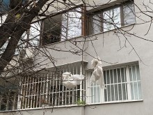 Пловдивчанка: Потресена съм от тази простотия!