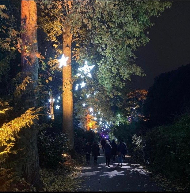 Instagram
Емблематичните Кралски ботанически градини в Лондон грейнаха в празнични светлини
