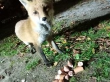 ����� �� �������� �� ���� ���������?