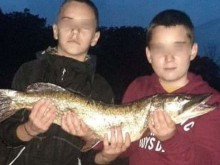 13-годишни рибари от Свиленград уловиха звяр, който не се среща всеки ден